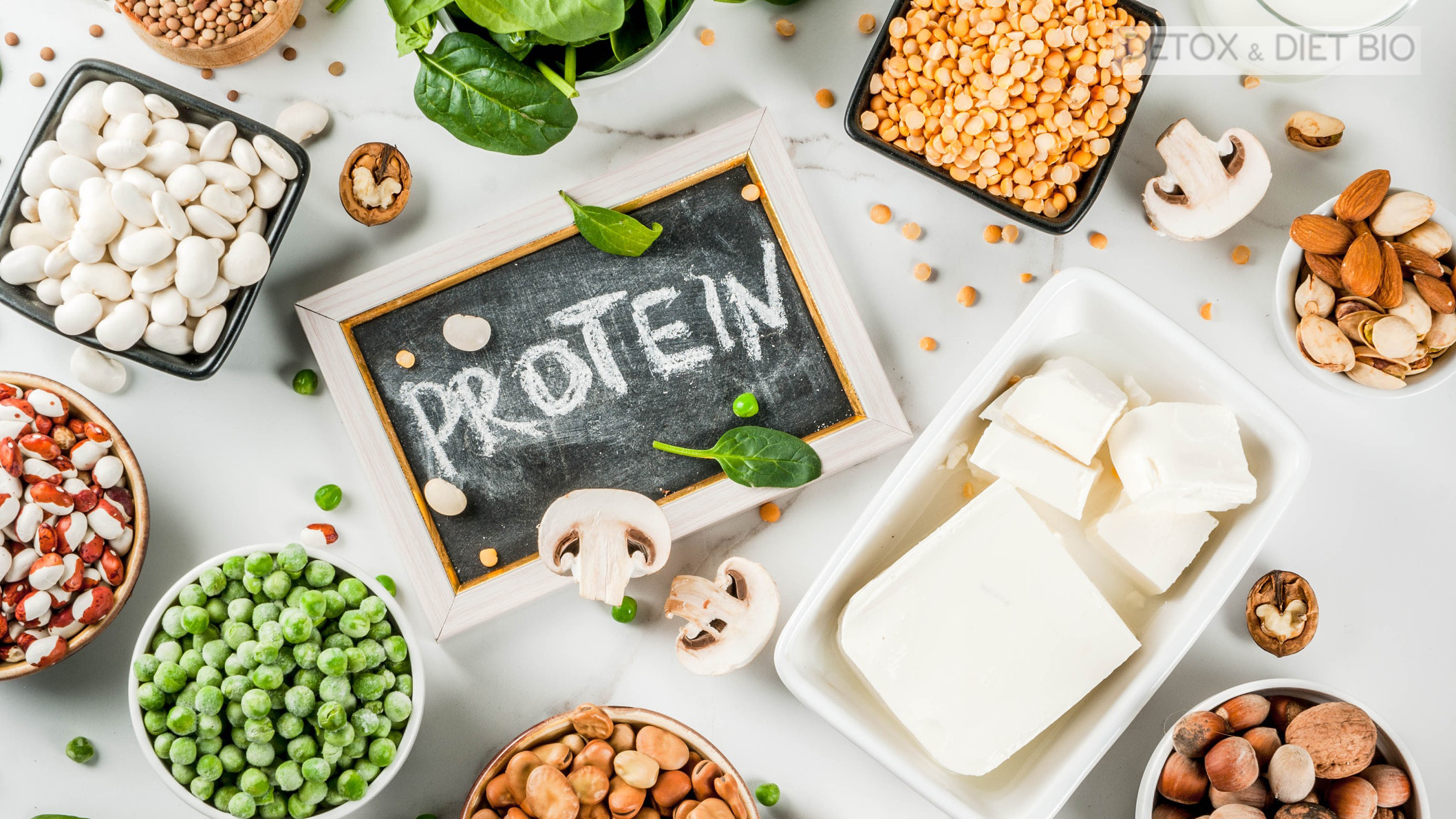 Bổ sung protein vào chế độ giảm cân hiệu quả