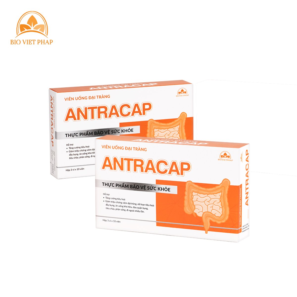 Viên uống đại tràng Antracap giúp hỗ trợ về tiêu hóa